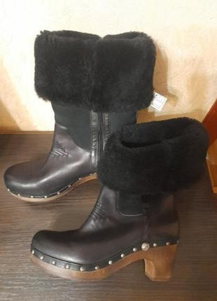 Продам зимові чоботи ugg(41p)1 фото