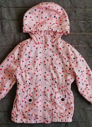 Куртка, ветровка pepco