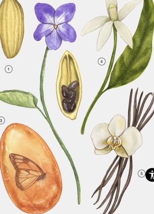 Парфумована вода zara 30ml.2 фото