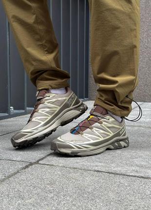 Salomon Trailster 2 GTX