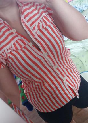 Сорочка блуза в смужку2 фото