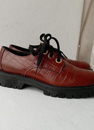 Итальянские кожаные туфли на шнурках evaluna