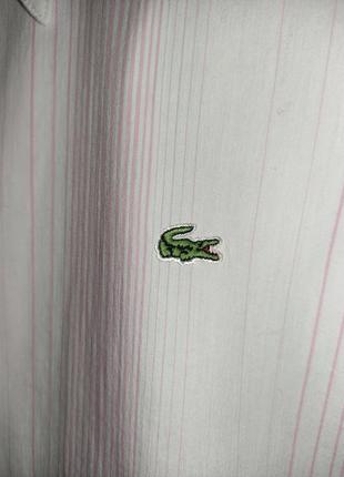 Стильная коттоновая рубашка в полоску lacoste4 фото