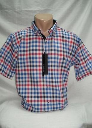 Шведка bazzolo приталенная в клетку s,m,xl