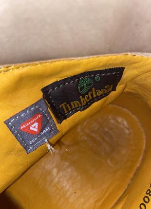 Timberland демисезонные ботинки7 фото