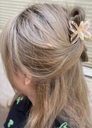 Скидка! акрилові аксесуари для волосся зажими у корейському стилі метелик9 фото