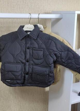 Стильная куртка для мальчика деми весна