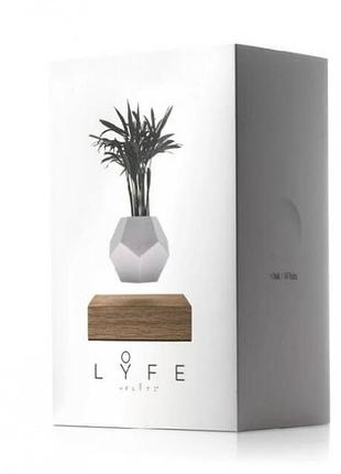 Левитирующий вазон flyte planter парящий вазон (орех) 4