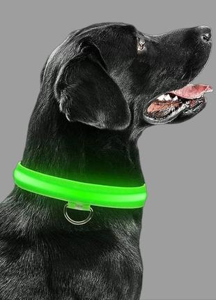 Светящийся led ошейник, поводок  для животных собак и кошек зеленый1 фото