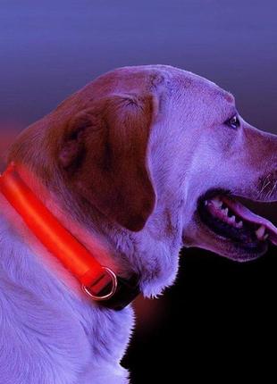 Светящийся led ошейник, поводок  для животных собак и кошек красный2 фото