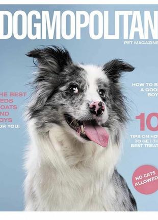 Тетрадь общая "pets magazine" 036-3194k-5 в клетку 36 листов от lamatoys