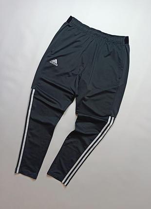Штаны спортивные мужские серые adidas размер - l