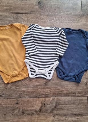 Комплект next боди 6-9 месяцев