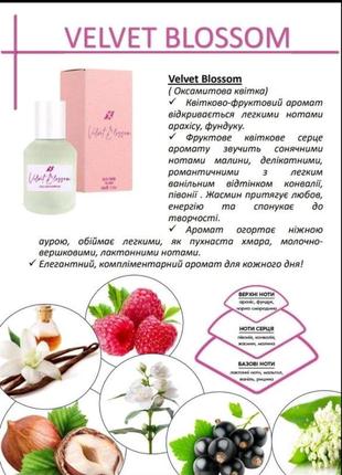 Женская парфюмированная вода velvet blossom, 50 мл4 фото