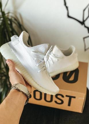 Кросівки жіночі adidas