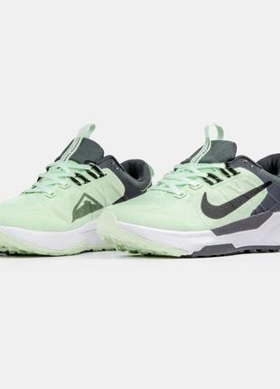 Nike pegasus кросівки