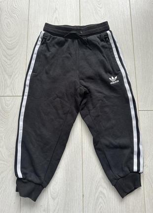 Брюки adidas original