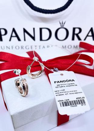 Срібні сережки пандора 282737c01 пусети гвоздики двоколірні з паве камінь рожеве золото проба 925 новий з биркою pandora2 фото