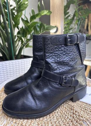 Шкіряні оригінальні чоботи massimo dutti♥️