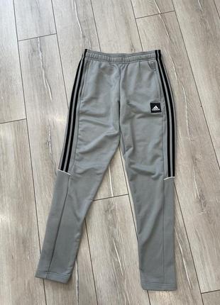 Спортивные штаны adidas