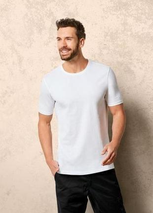 Мужская базовая футболка из хлопка размер 52-54 livergy нитевичка