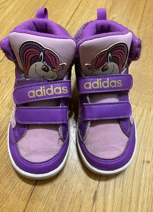 Хайтопи adidas 2