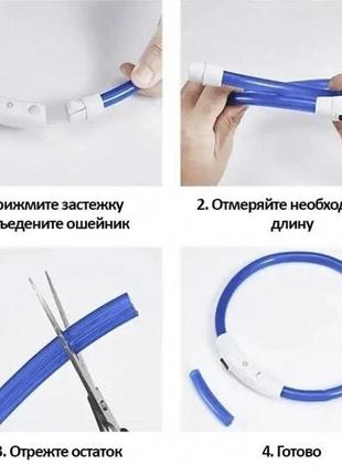 Светодиодный влагостойкий ошейник для собак usb usb размер s-35 cm m-50 cm l-70 cm5 фото