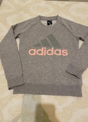 Світшот adidas