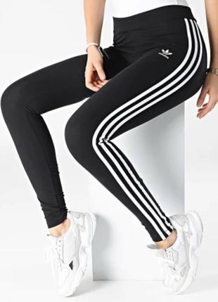 Лосини легінси adidas leggings 3 stripes tight black hd2350