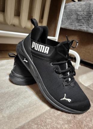 Кросівки puma