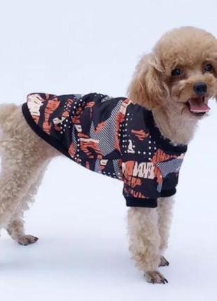 Одежда для собак