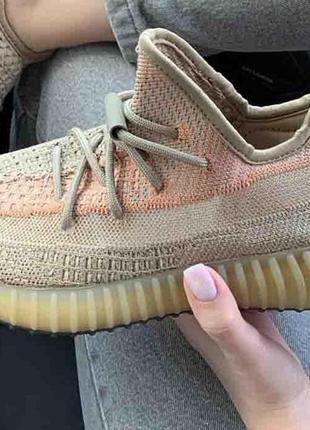 Adidas yeezy boost 350 v2 eliada