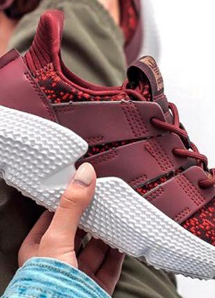 Adidas prophere bordo