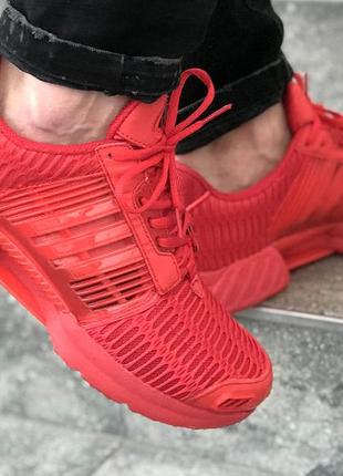 Adidas climacool red