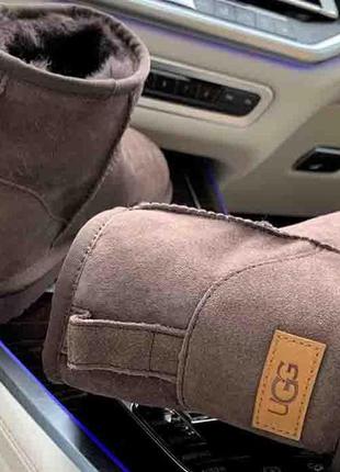 Ugg classic mini chocolate