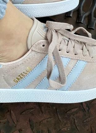 Жіночі замшеві рожеві адідас газель adidas gazelle pink grey