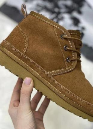 Ugg neumel chestnu 38