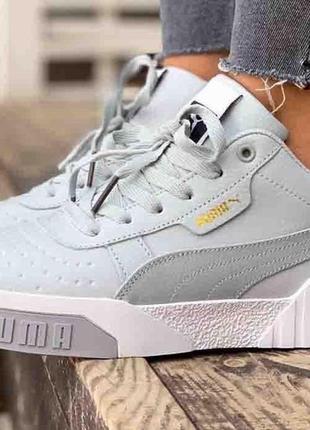 Puma cali grey/white fur