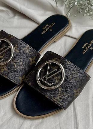 Louis vuitton slides big logo ‘brown’