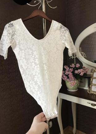 Мережевне боді