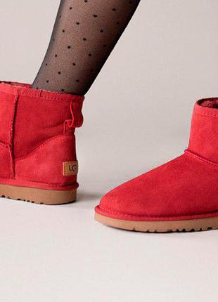 Ugg classic ii mini wine 36