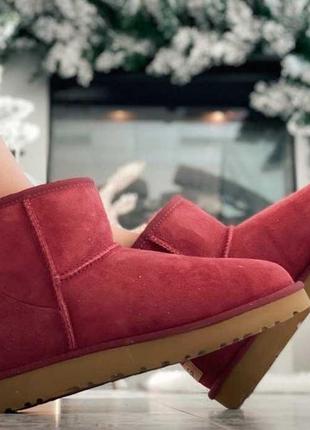 Ugg classic ii mini bordo1 фото