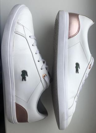 Кеды lacoste3 фото