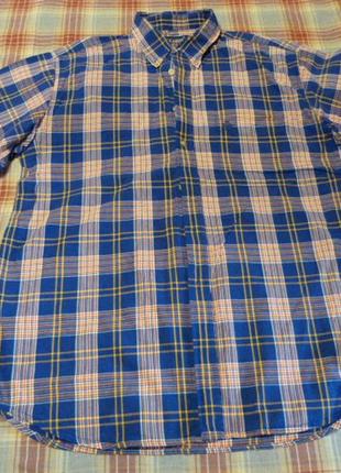 Теніска бавовна mc gordon р. 52-54