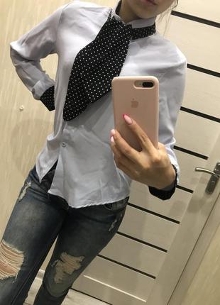 Рубашка с галстуком 2