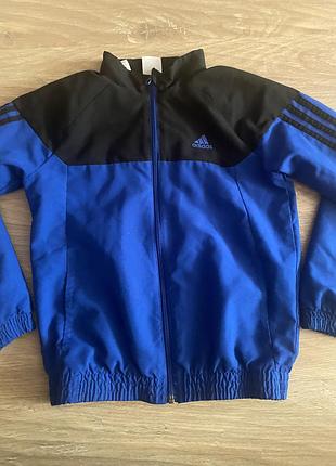 Вытровка adidas