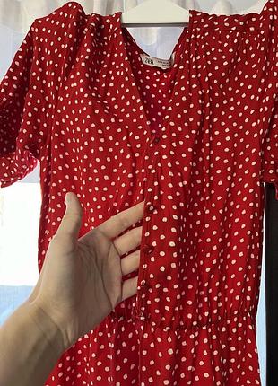 Сукня zara  плаття 2