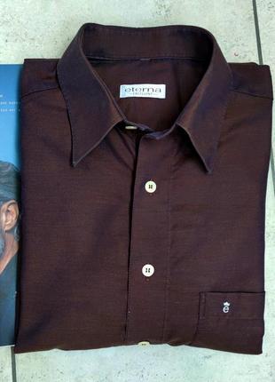 Чоловіча елегантна базова бавовняна сорочка eterna в коричневому кольорі розмір (42)3 фото