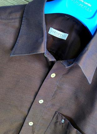 Чоловіча елегантна базова бавовняна сорочка eterna в коричневому кольорі розмір (42)4 фото