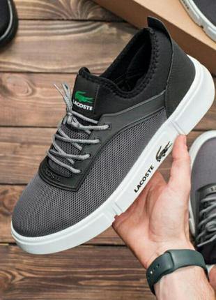 Кроссовки lacoste grey кросівки
